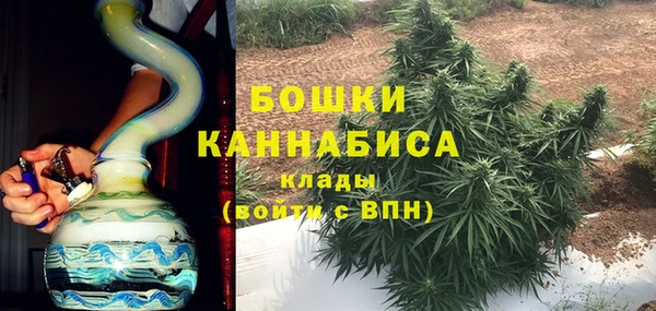 мдпв Верхний Тагил