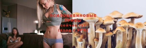 мдпв Верхний Тагил